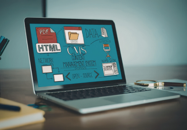 website management